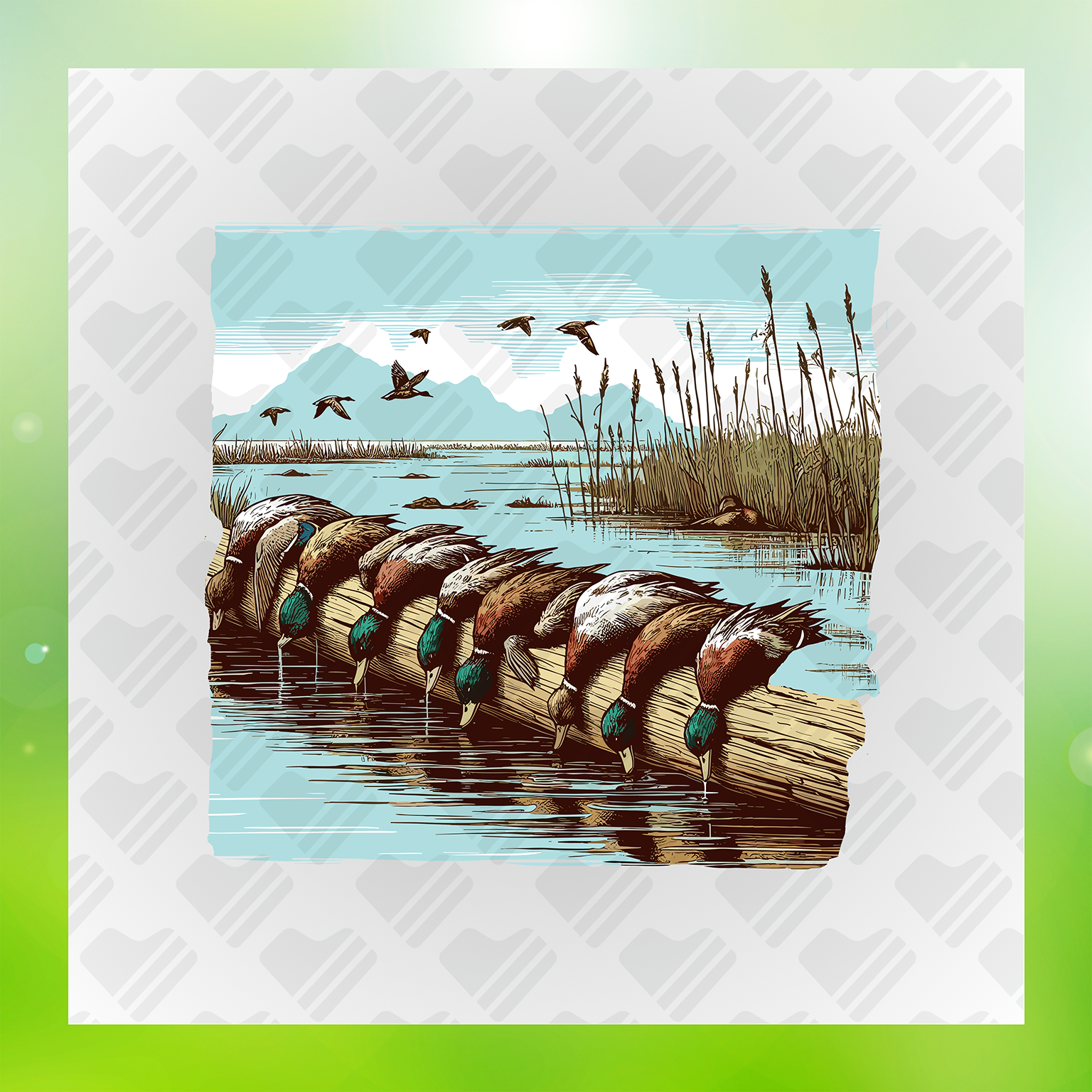 Keep Your Ducks In A Row Transfer