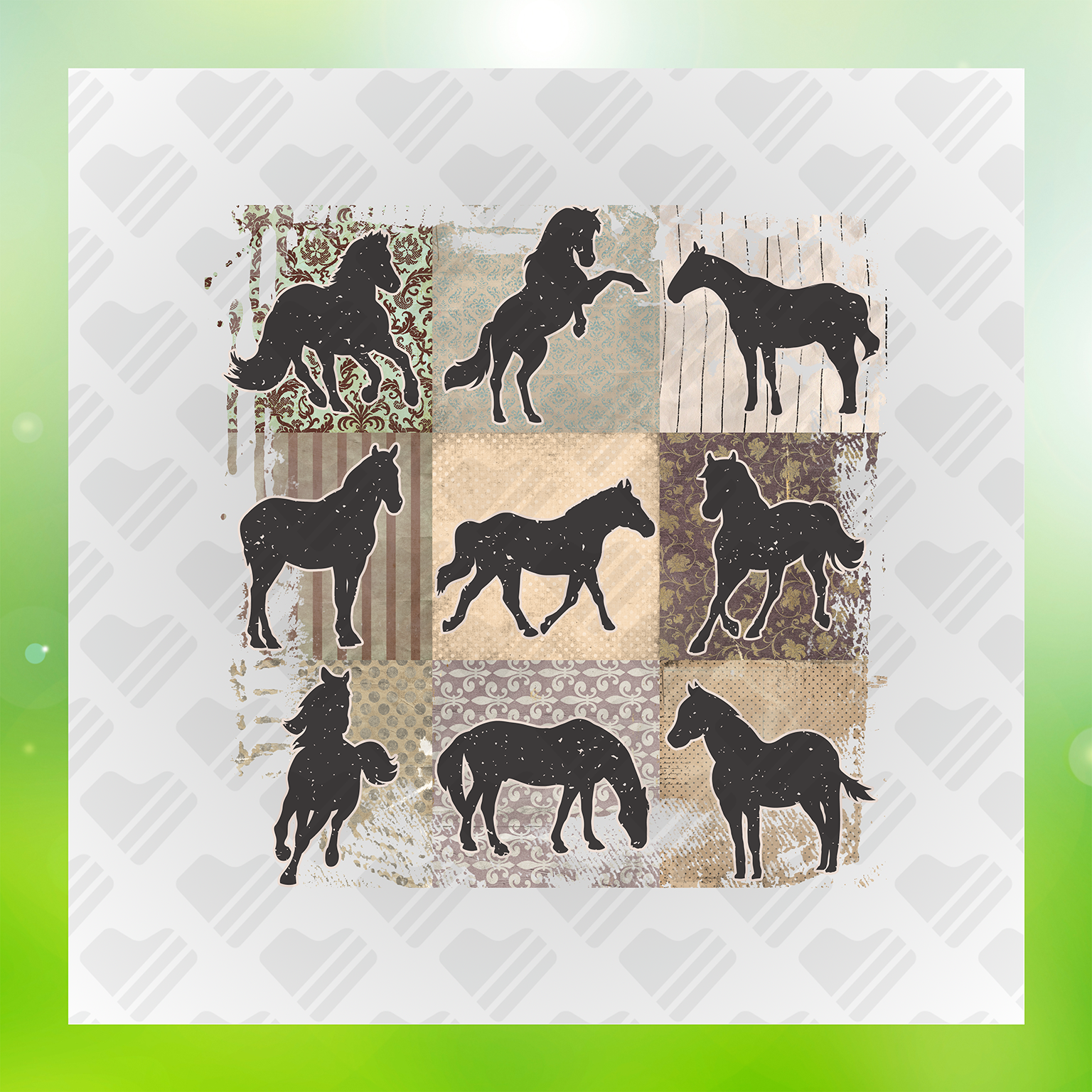 Dreamy Desert Rides Transfer