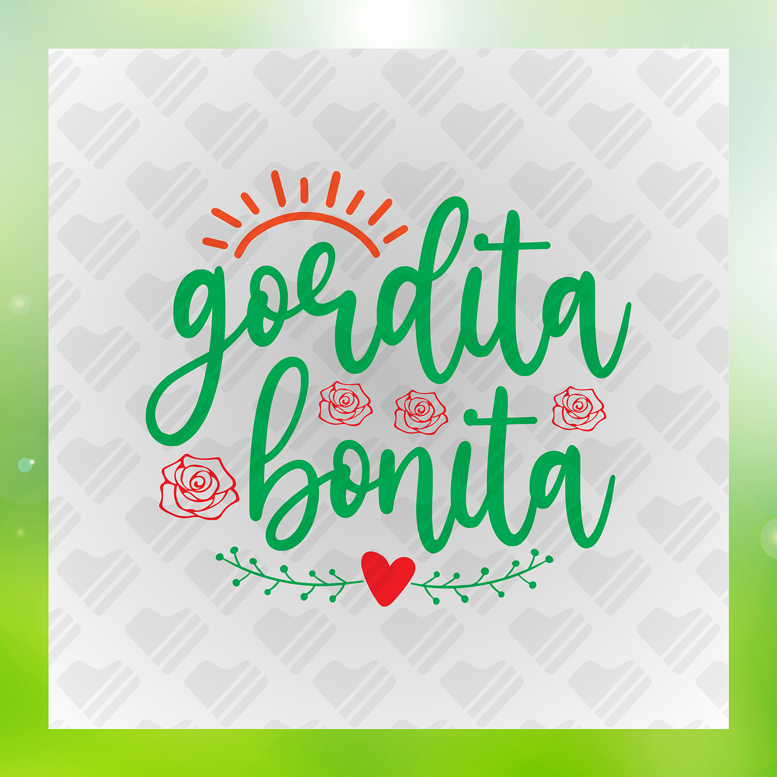 Gordita Bonita Transfer