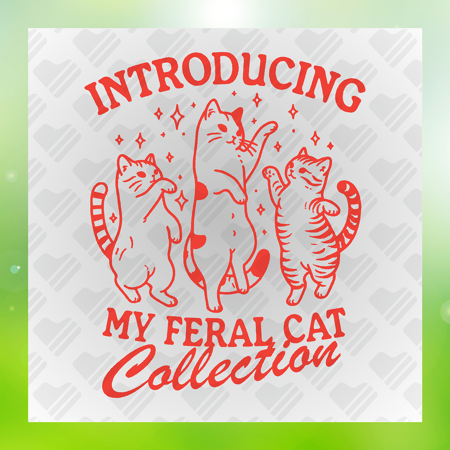 Introducing my Feral Cat Collection Transfer