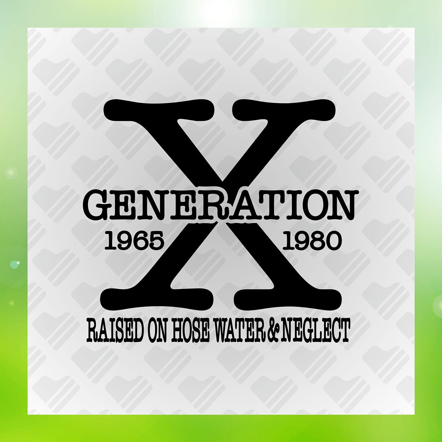 X Generation 1965 1980 Transfer