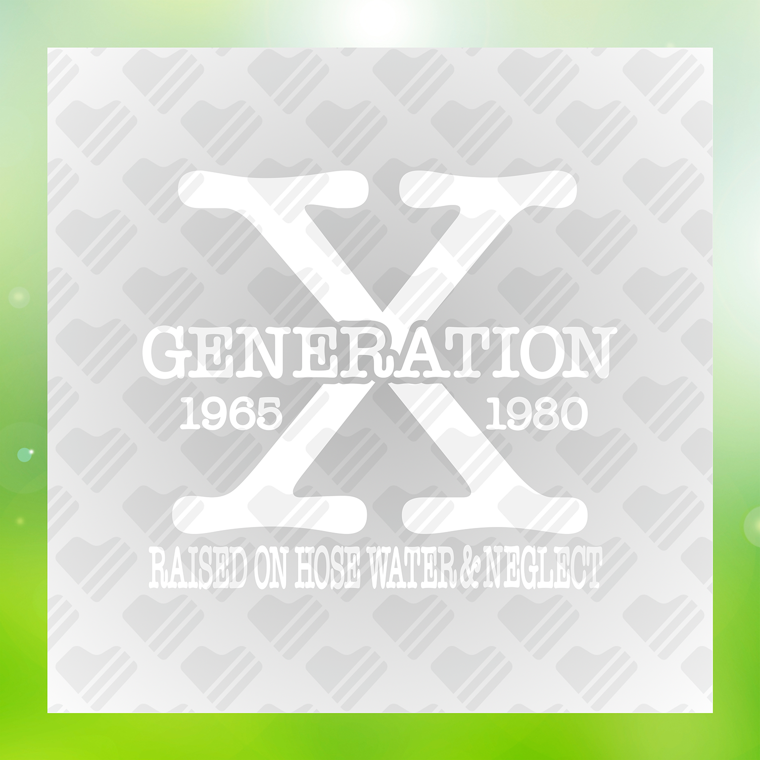 X Generation 1965 1980 Transfer