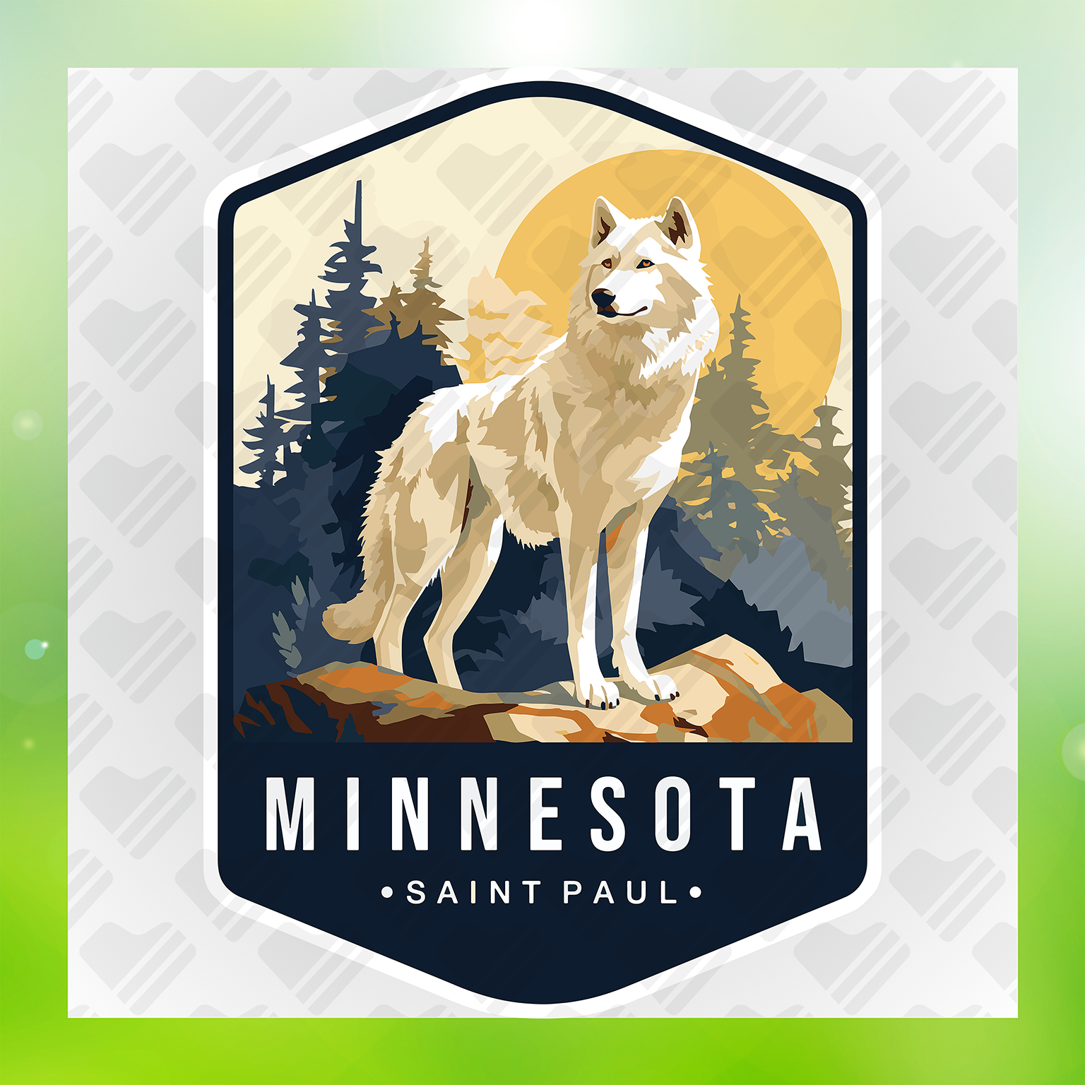 Minnesota Saint Paul Transfer