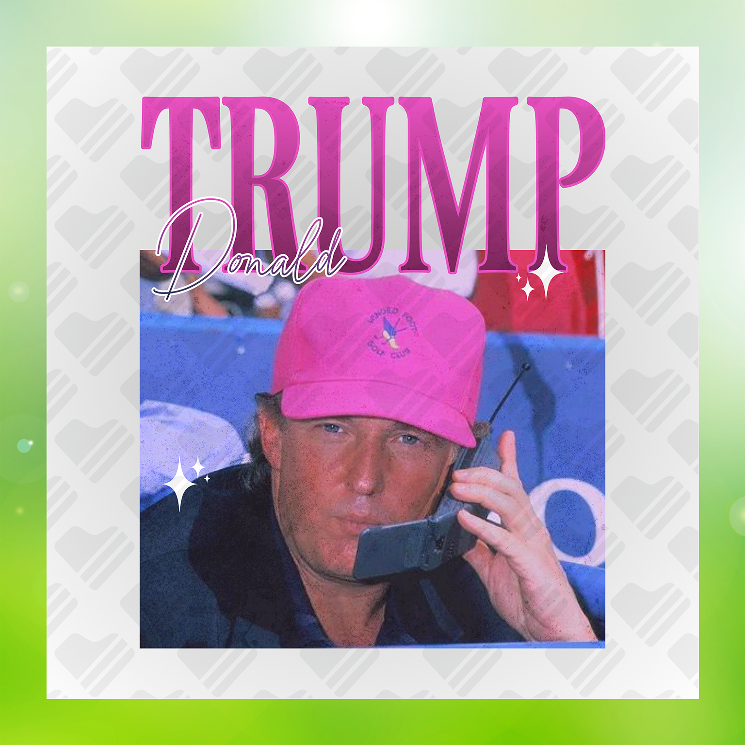 Donald Phone Call Transfer