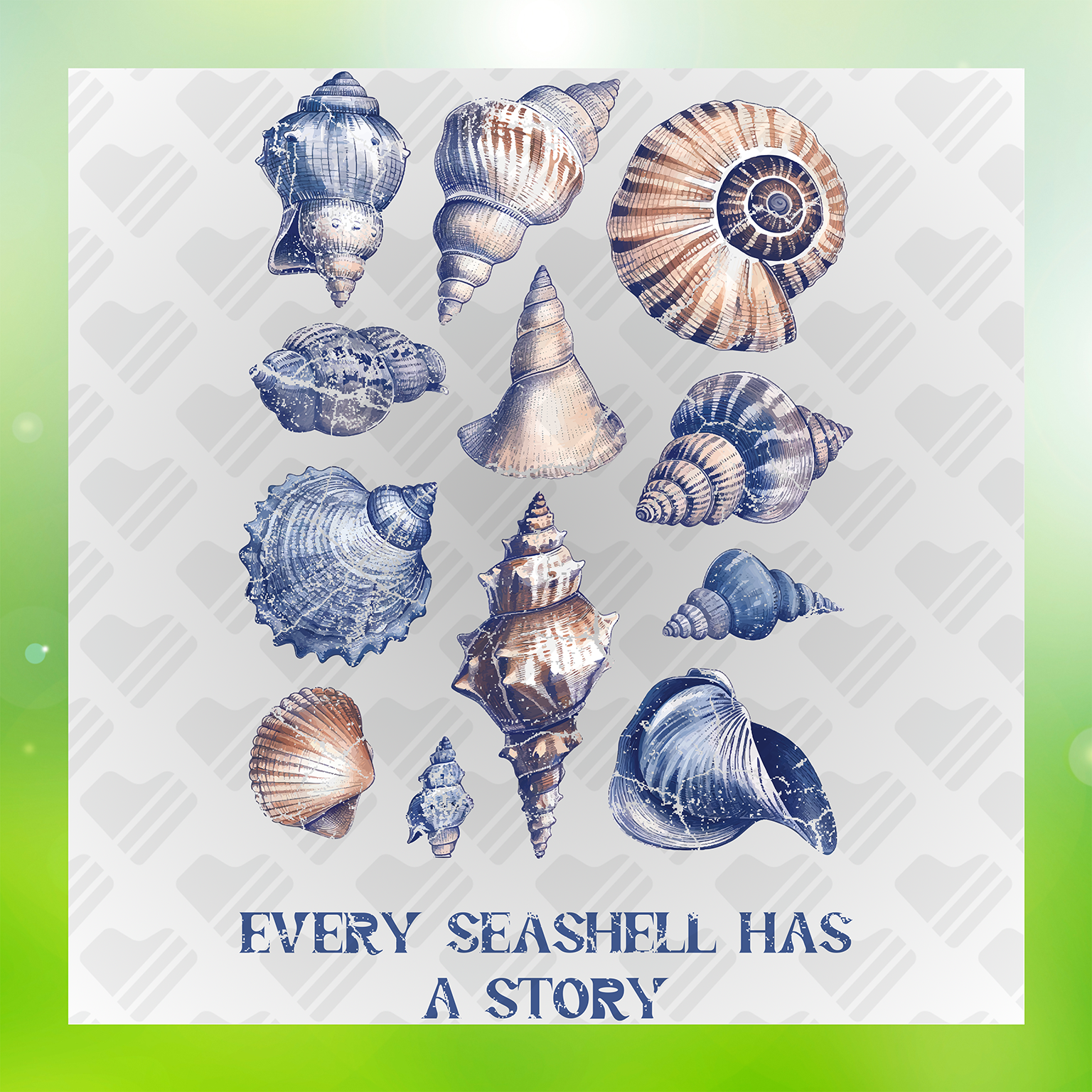 Every Seashell Has A Story Transfer