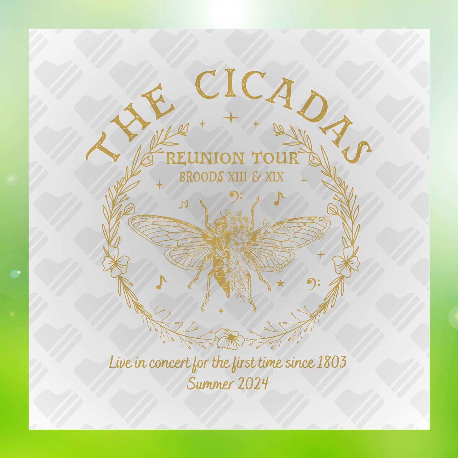The Cicadas Reunion Tour Reunion Transfer