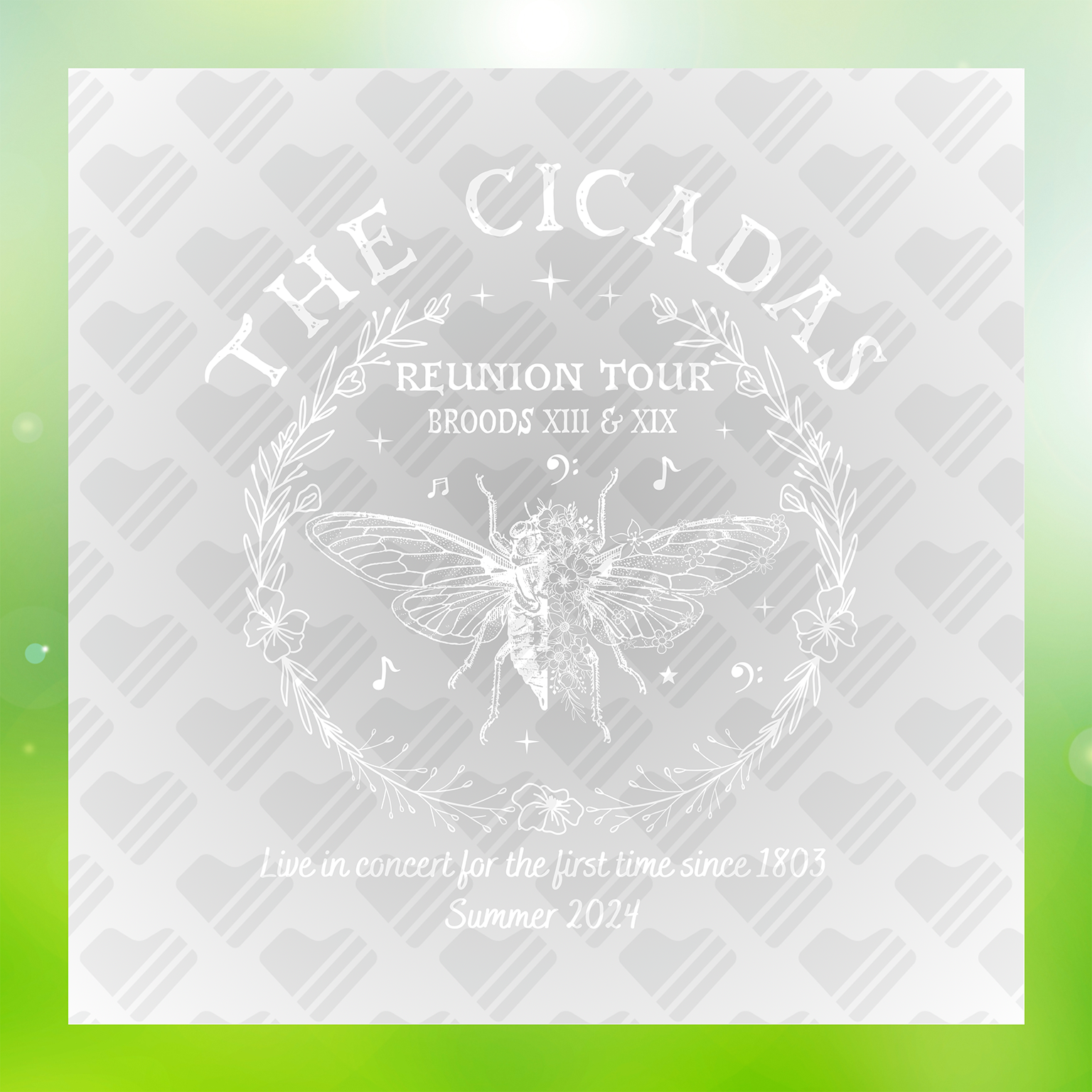 The Cicadas Reunion Tour Reunion Transfer