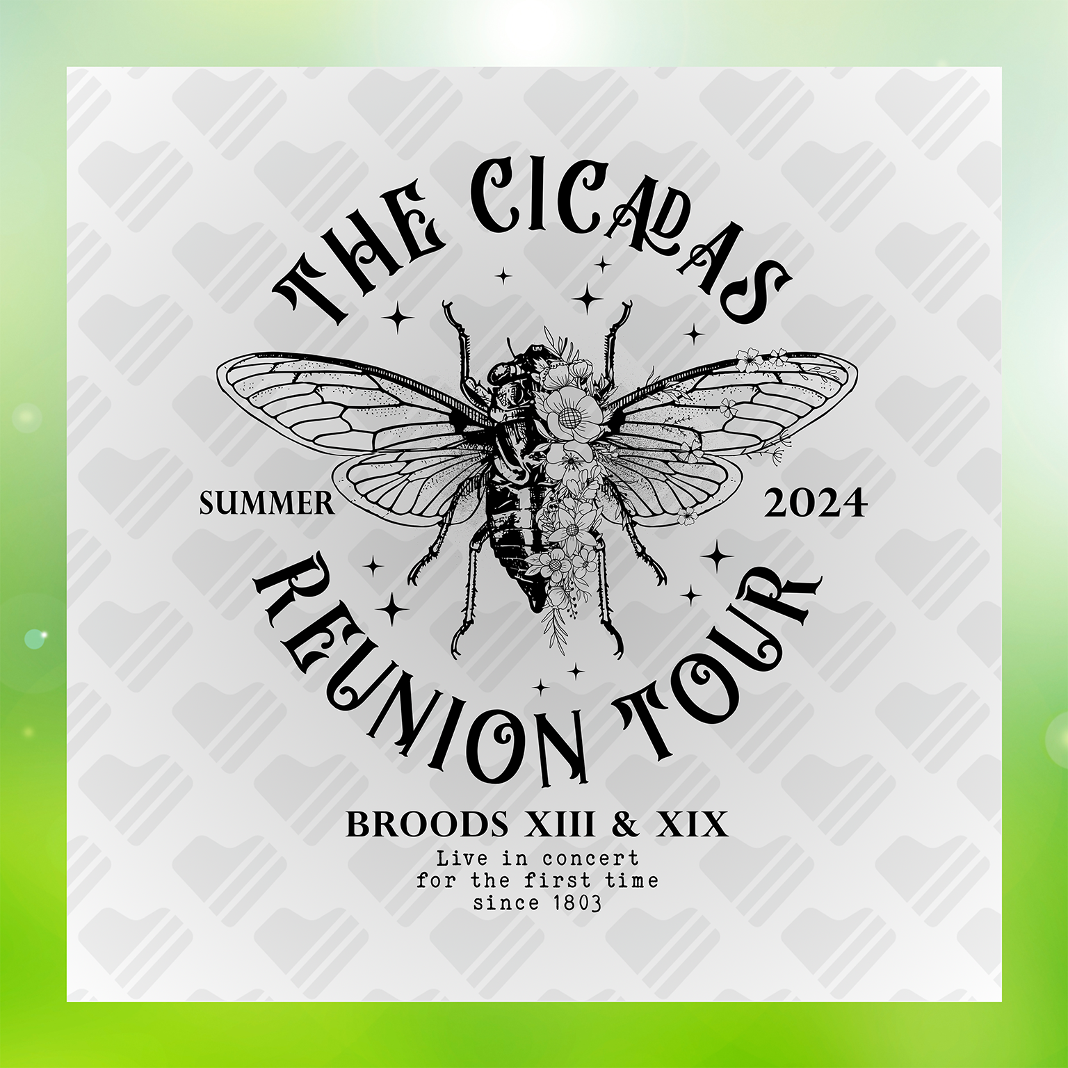 The Cicadas Summer 2024 Reunion Tour Transfer