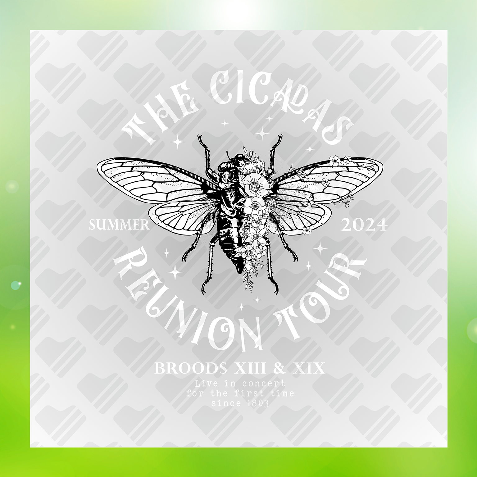 The Cicadas Summer 2024 Reunion Tour Transfer