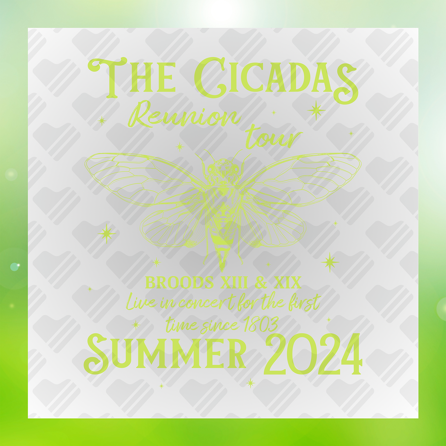 The Cicadas Summer 2024 Transfer