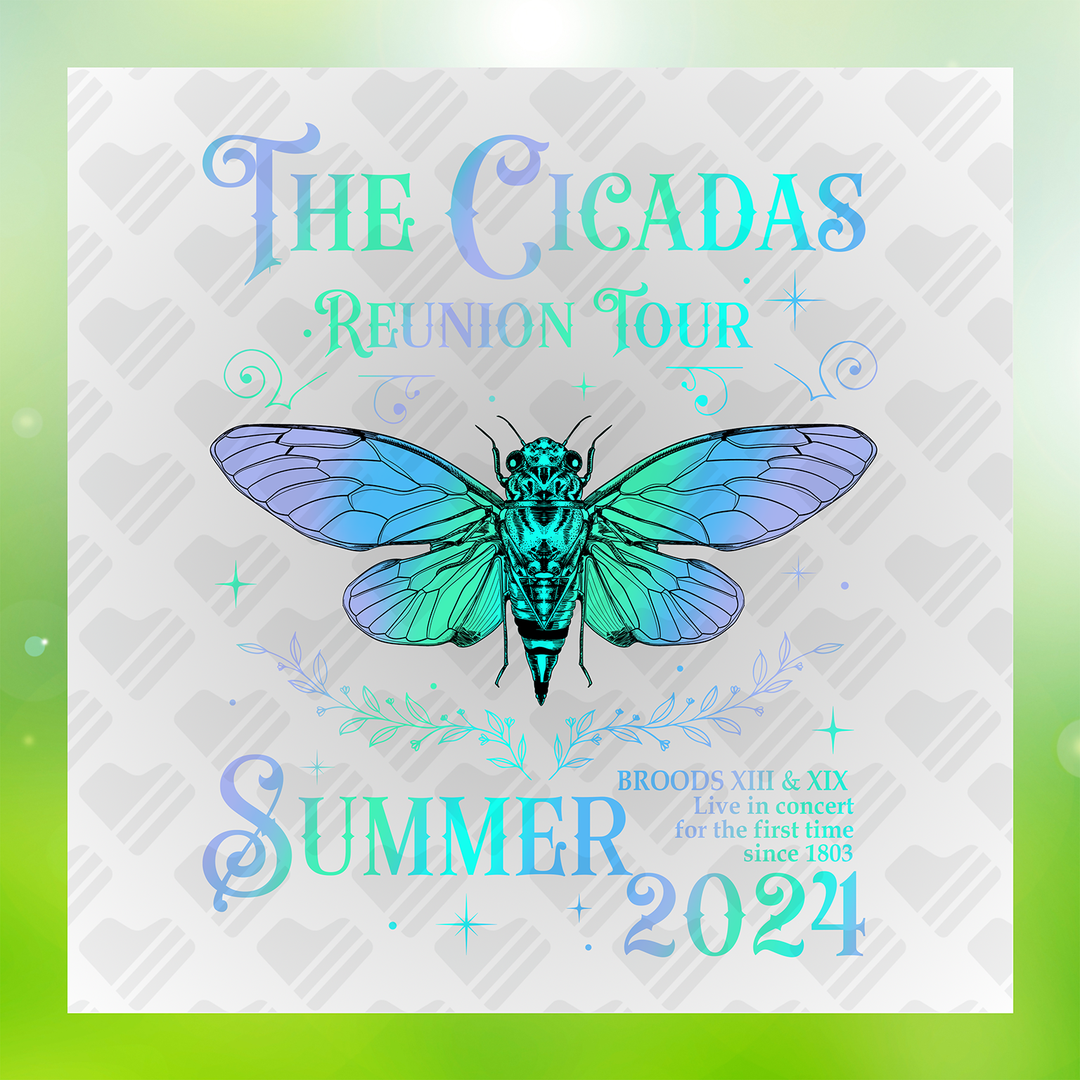 The Cicadas Magical Reunion Tour Summer 2024 Transfer