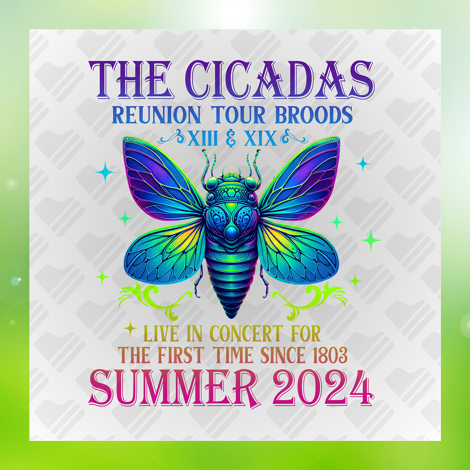The Cicadas Reunion Tour Summer 2024, Magical Cicadas Transfer