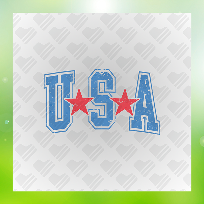 USA v2 Sticker