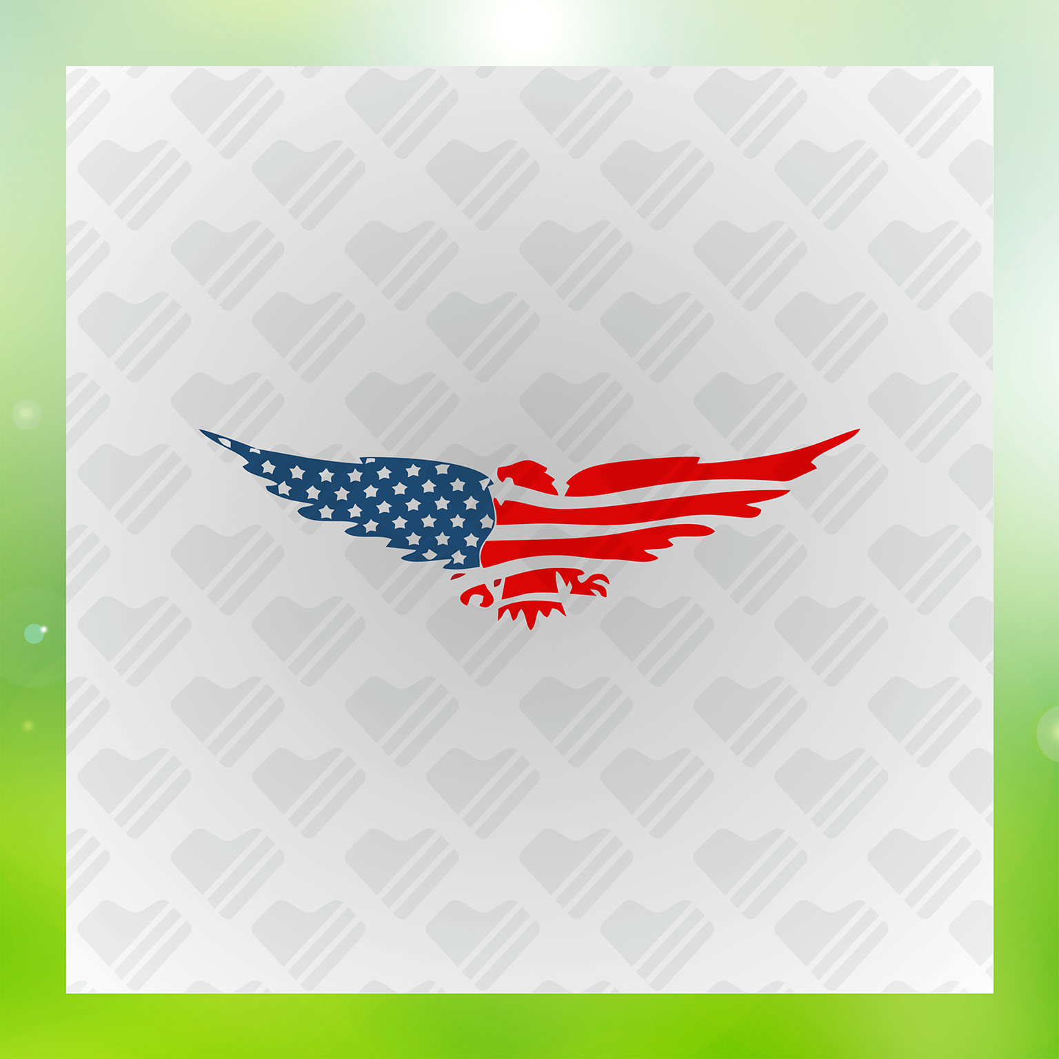 Swift American Flag Transfer