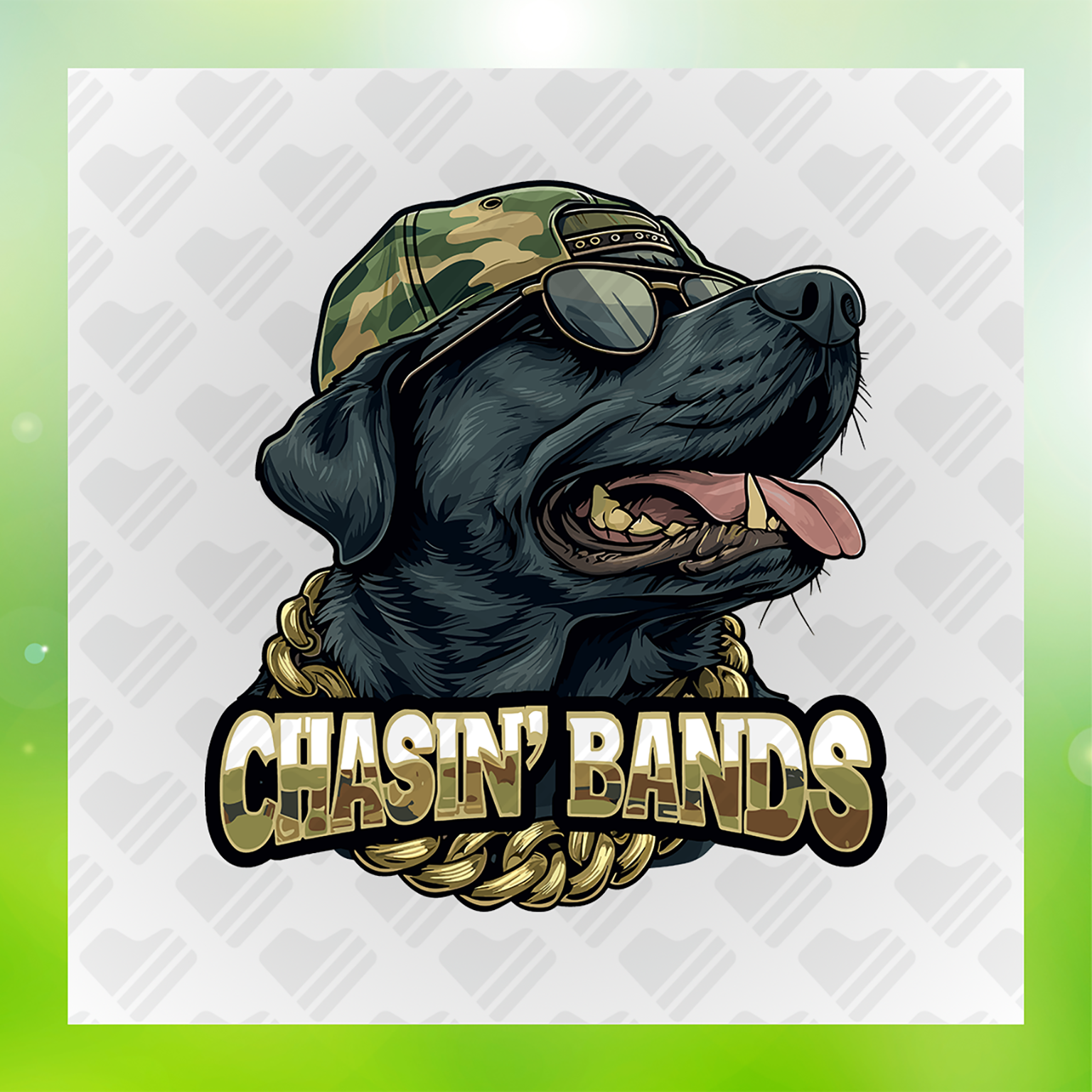 Doggie Swag, Chasin Transfer