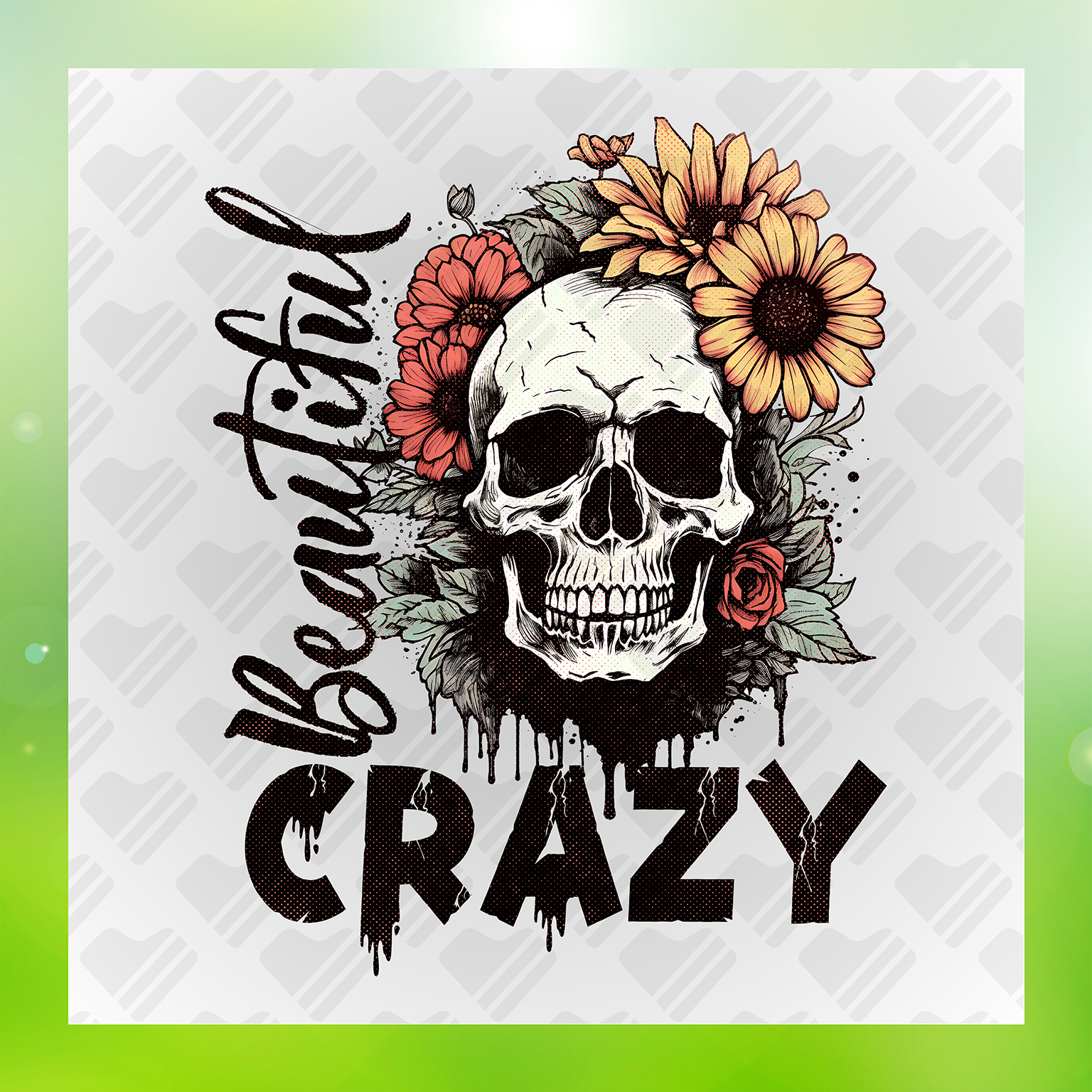 Crazy Beautiful Transfer