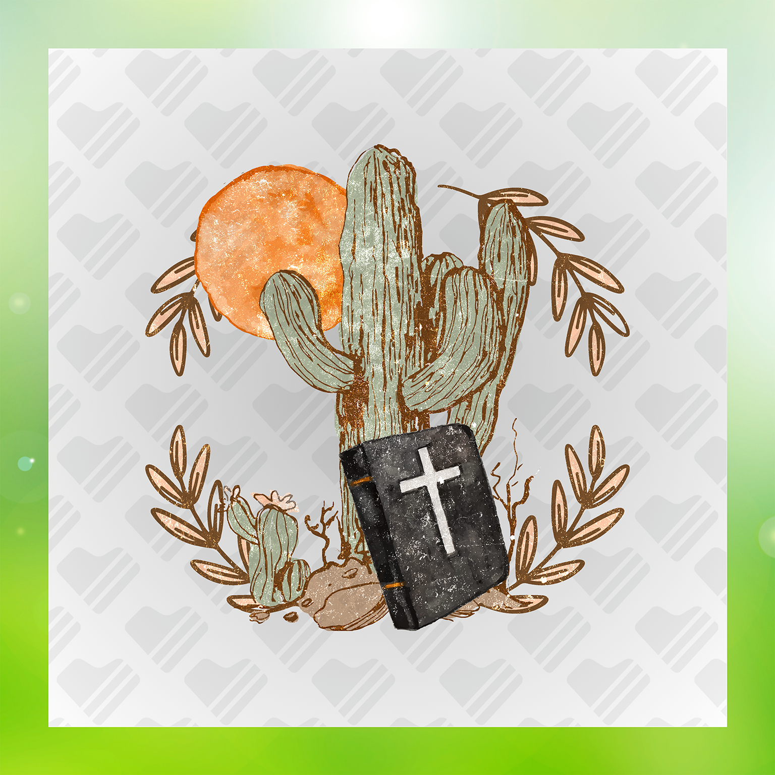 Cactus and Bible Transfer