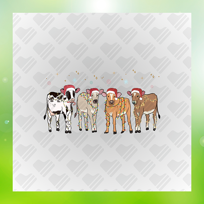 Christmas Cows Sticker