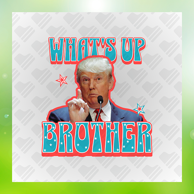 Whats Up Brother Trump Sticker