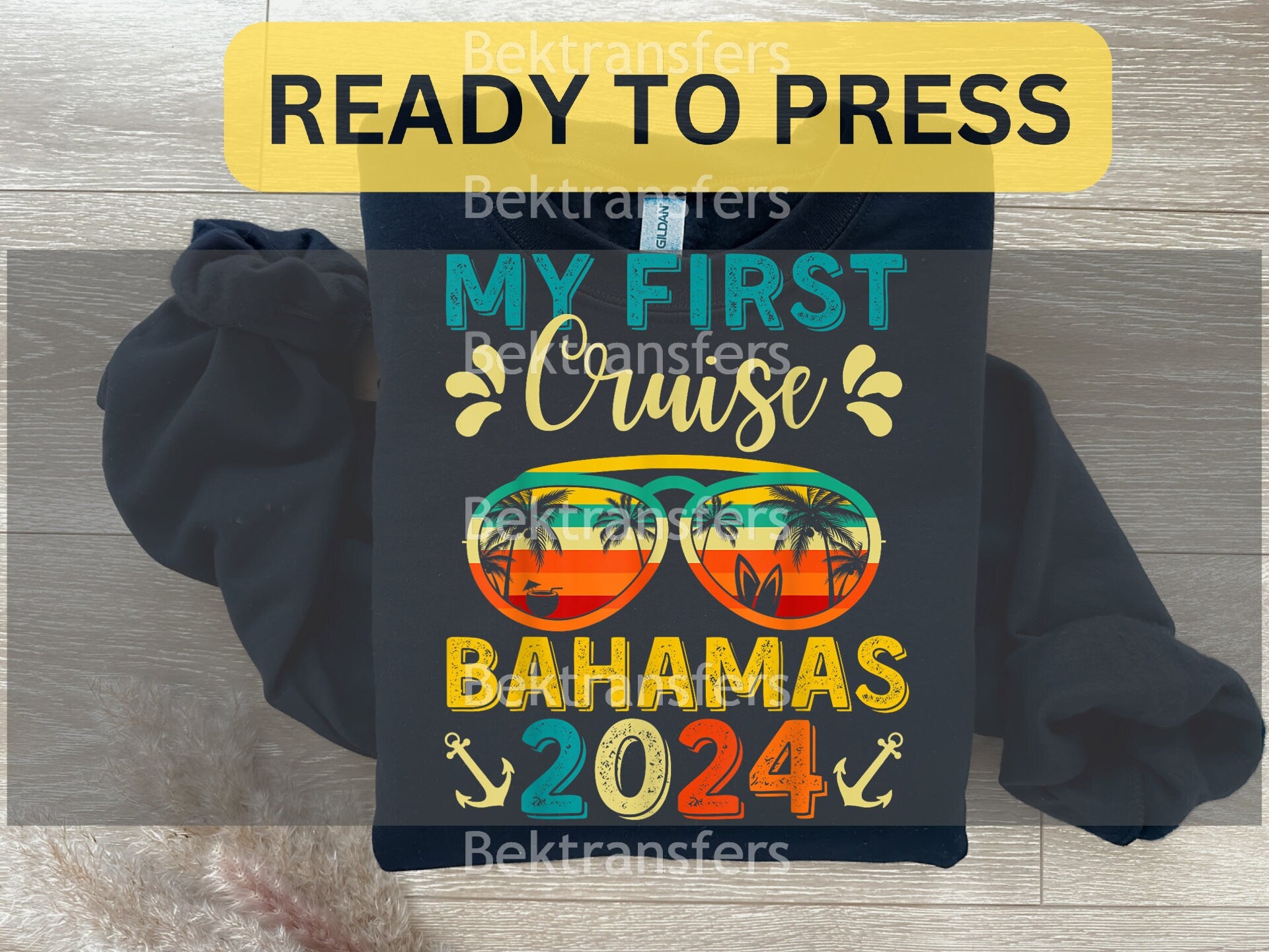 My First Cruise Bahamas 2024 Transfer
